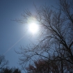 2012-04-05 (092)