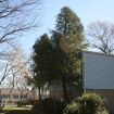 2012-04-05 (100)