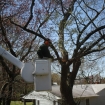 2012-04-05 (145)