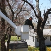 2012-04-05 (158)