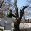 2012-04-05 (166)