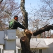 2012-04-05 (169)