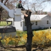 2012-04-05 (182)