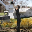 2012-04-05 (184)