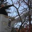2012-04-05 (188)