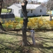 2012-04-05 (190)