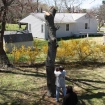 2012-04-05 (194)