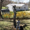 2012-04-05 (196)