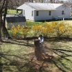 2012-04-05 (201)