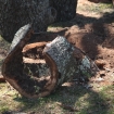 2012-04-05 (216)