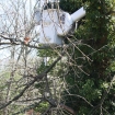 2012-04-05 (223)