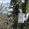 2012-04-05 (243)