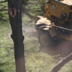 2012-04-05 (264)