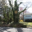 2012-04-05 (270)