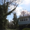 2012-04-05 (279)
