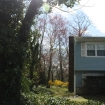 2012-04-05 (281)