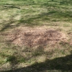 2012-04-05 (283)