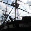 2012-09-08 (009)