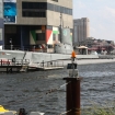 2012-09-08 (049)