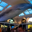 2012-09-23 (097)