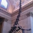 2012-09-23 (298)