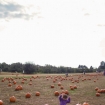 2012-10-14 (015)