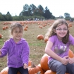 2012-10-14 (018)