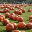 2012-10-14 (031)