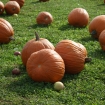 2012-10-14 (032)
