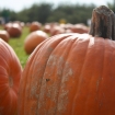 2012-10-14 (034)