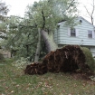 2012-10-30 (003)