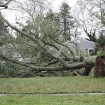 2012-10-30 (011)