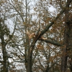 2012-10-30 (019)