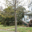 2012-10-30 (027)