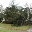 2012-10-30 (028)