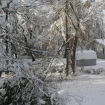 2012-11-08 (007)