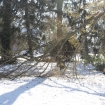 2012-11-09 (016)