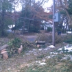 2012-11-10 (362)