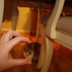 2012-11-22 (006)