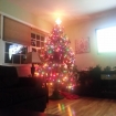 2012-12-09 (019)