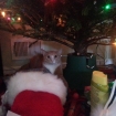 2012-12-25 (048)