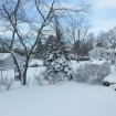 2013-02-09 (001)