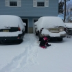 2013-02-09 (005)