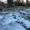 2013-02-12 (002)
