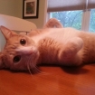 2013-06-03 (001)